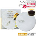 【国内正規品】 EXCEL エクセル ラスタリングシアーパウダー 10g プレストパウダー フェイスパウダー 立体感 オリジナルブラシ ミラー付き コンパクト 1本/2本 送料無料