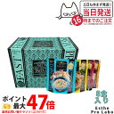 【選べる】エステプロラボ ファストプロ グルテンフリー パスタセット(プレミアムボックス入り) 8食分 1箱/2箱/3箱/4箱 エステプロラボ ファスティング Esthe Pro Labo ダイエット 酵素栄養学 プチ断食 酵素栄養学 置き換え 国内正規品 送料無料