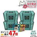 【4個セット】エステプロラボ ファストプロ グルテンフリー パスタセット(プレミアムボックス入り) 8食分×4箱 エステプロラボ ファスティング Esthe Pro Labo ダイエット 酵素栄養学 プチ断食 酵素栄養学 置き換え 国内正規品 送料無料
