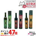 【2本セット】エステプロラボ ハーブザイム 113 グランプロ シリーズ 500ml|エステプロラボ 酵素ドリンク|オラックス/ジンジャー/プレーン|ファスティングサポート 酵素飲料