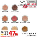 【国内正規品】オサジ ニュアンス フェイスカラー 5.5g カラー選べます OSAJI