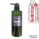 【国内正規品】OSAJI オサジ ヘアシャンプー Ikoi 500ml シャンプー ノンシリコン 低刺激 保湿成分配合 送料無料