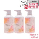 メガミノワッカ フレグランス ボディソープ セイントフリージア 480ml megami no wakka fragrance body soap saint freesia 本体 480ml ボディソープ