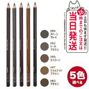【国内正規品】shu uemura シュウウエムラ フォーミュラ ハード9 ブラウン03/エイコーン06/ウォルナットブラウン07/シール ブラウン02/ストー...