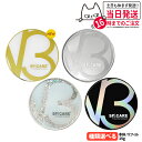 【ロットNoあり正規品】V3ファンデーション 本体/詰め替え用 15g エキサイティング シャイニング ブリリアント インテリジェント セットアップパウダー キキ&ララ SPICARE スピケア クッションファンデーション 下地不要 リフィル ツヤ 韓国コスメ