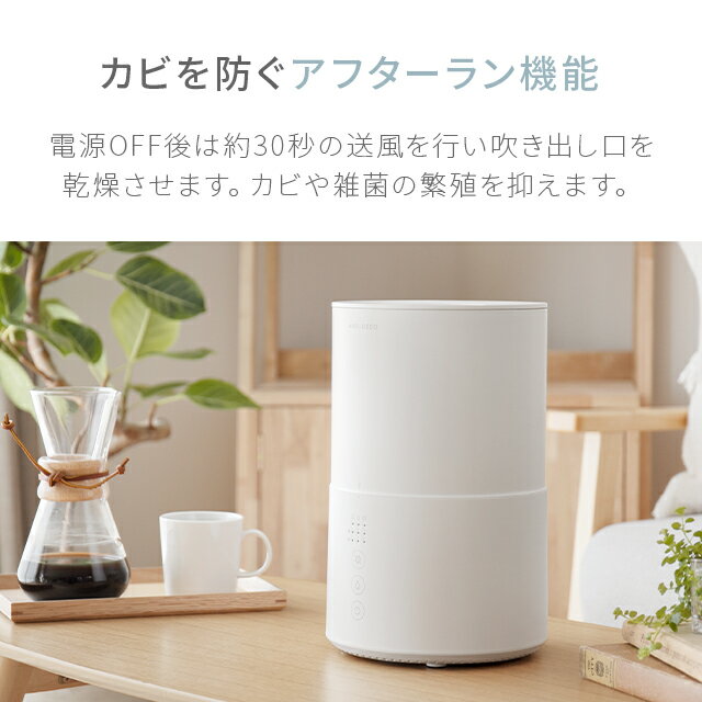 【1年保証】超音波加湿器電解水生成機能付き加湿器次亜塩素酸水対応ウイルス対策卓上オフィス卓上加湿器上から給水おしゃれ送料無料上部給水式加湿器上部給水型超音波式加湿器大容量小型コンパクト静音省エネ