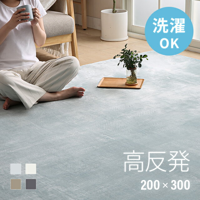 [本日もれなく全品P5倍] 高反発 ラグ 厚手 200×300cm 厚さ25mm フランネル 防音 滑り止め付 マイクロファイバー ホットカーペット対応 ラグ ラグマット 正方形 マット カーペット 絨毯 北欧 極厚 床暖房 高反発
