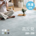 ＜もれなく全品P5倍！12:00～23:59＞ 高反発 ラグ 厚手 200×250cm 厚さ25mm フランネル 防音 滑り止め付 マイクロファイバー ホットカーペット対応 ラグ ラグマット 長方形 マット カーペット 絨毯 北欧 極厚 床暖房 高反発