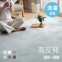 ＜店内全品10%OFFクーポン／24時まで＞ 高反発 ラグ 厚手 200×300cm 厚さ25mm フランネル 防音 滑り止め付 マイクロファイバー ホットカーペット対応 ラグ ラグマット 正方形 マット カーペット 絨毯 北欧 極厚 床暖房 高反発