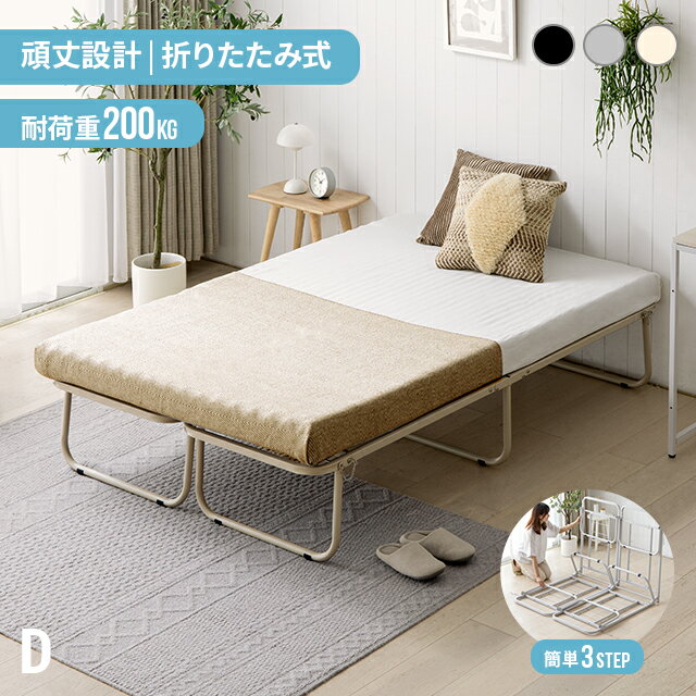 楽天NATURAL SLEEP LABO＜MAX50％OFF詳細はバナーから／12時～P5倍＞ パイプベッド ダブル フレーム 折りたたみ 安心安全な頑丈設計 耐荷重200kg ダブルベッド スチール コンパクト ベッド アイアンベッド 折りたたみベッド ベッドフレーム スチールベッド 省スペース 頑丈 折り畳み