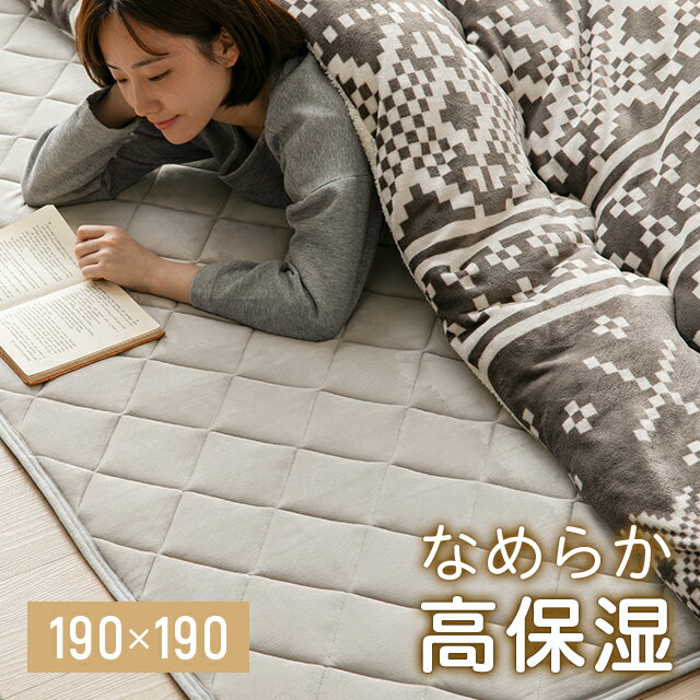 楽天NATURAL SLEEP LABO＜22日0時～SALE♪詳細はページ内バナーから＞ こたつ 敷布団 正方形 190×190cm 洗える こたつ敷き布団 こたつ布団 ラグマット ラグ 敷きふとん こたつ布団 こたつ 布団 抗菌 防臭 コタツ 炬燵 ラグ カーペット