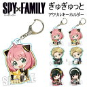 ★最大15％OFFクーポン★ SPY×FAMILY ス