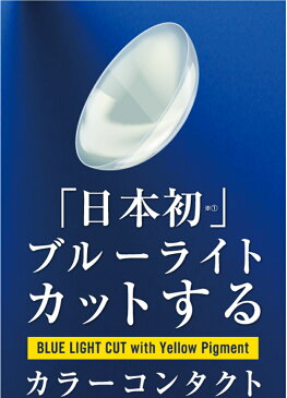 カラコン チャンスワンデー【1箱10枚入】 メール便送料無料 チャンス CHANCE ワンデー ブルーライトカット UVカット 1day 1日使い捨て 度なし 度あり 14.1mm カラーコンタクト コンタクトレンズ