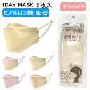 【在庫処分】1DAY MASK 空間タイプ マスク ヒアルロン酸 配合 5枚入り 立体マスク 保湿 やや小さいサイズ 20×8cm 3Dマスク 不織布 使い捨て 3D 立体 4層構造 ウイルス対策