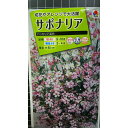 サポナリア バッカリア 混合 種 種子 タキイ種苗