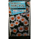 クリサンセマム パルドサム ホワイト 種 種子 タキイ種苗
