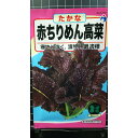 赤 ちりめん 高菜 たかな 種 種子 ウタネ