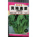 貝地 高菜 石岡 たかな 種 種子 ウタネ