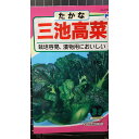三池 高菜 たかな 種 種子 ウタネ
