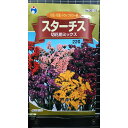 スターチス 切花用 ミックス 種 種子 ウタネ