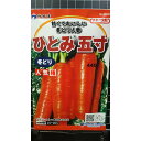 ひとみ 五寸 人参 5寸 ニンジン 種 種子 ウタネ