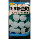 新 金町 耐病 かぶ 種 種子 ウタネ