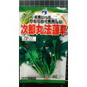 次郎丸 ほうれん草 ホウレンソウ 種 種子 ウタネ