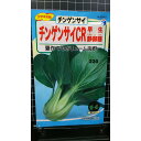 チンゲンサイ 静御膳 早生 チンゲン菜 種 種子 ウタネ