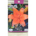 すかしゆり エスプリ 1袋 球根 サカタのタネ スカシ ユリ