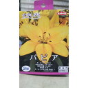 すかしゆり パビア 1袋 球根 サカタのタネ スカシ ユリ