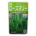 ローズマリー マンネンロウ ハーブ 種 種子 herb サカタのタネ