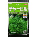チャービル セルフィーユ Chervil ハーブ 種 種子 herb サカタのタネ