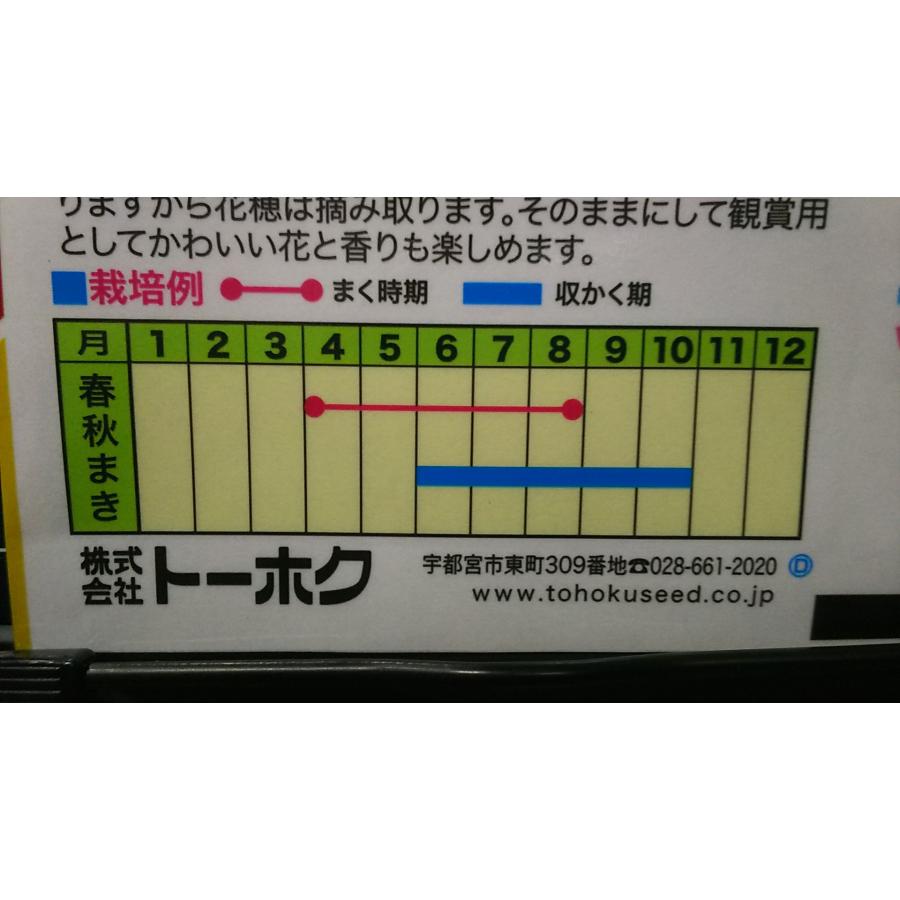 レモン バジル lemon basil ハーブ 種 種子 herb トーホク