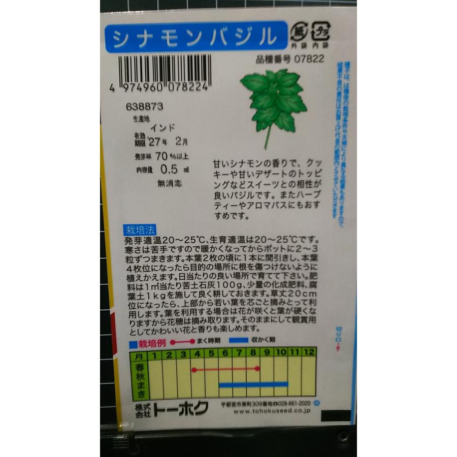 シナモン バジル cinnamon basil ハーブ 種 種子 herb トーホク