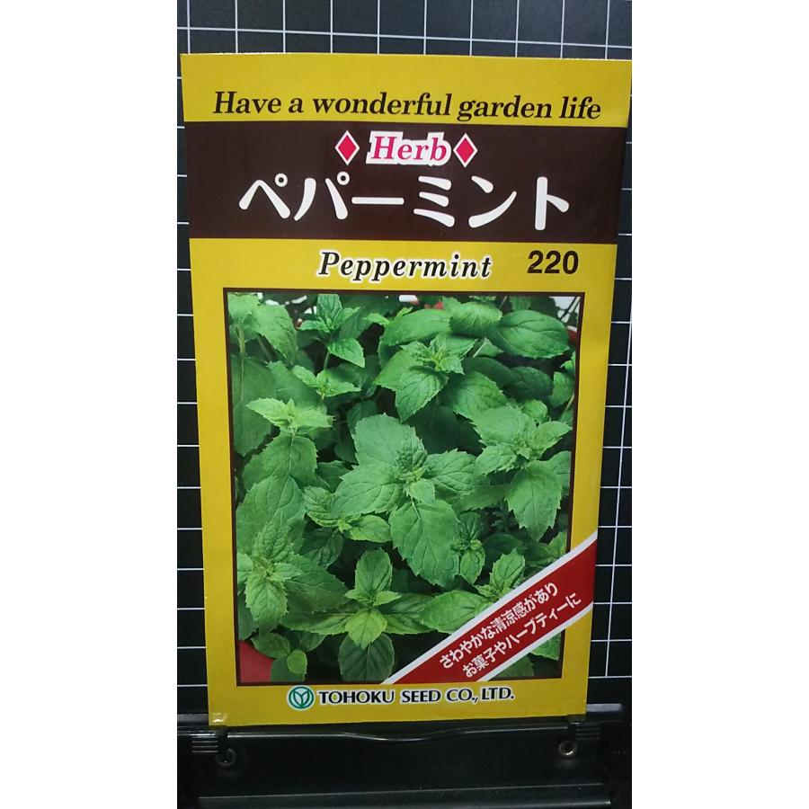 ペパーミント peppermint mint ハーブ 種 種子 herb トーホク