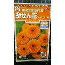 金せん花 さなだ 芯黒 キンセンカ 黒芯 カレンジュラ 種 種子 サカタのタネ