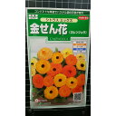 金せん花 カレンジュラ シトラス コンパクト キンセンカ 種 種子 サカタのタネ