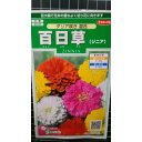 百日草 ダリア咲き ジニア ヒャクニチソウ 種 種子 サカタのタネ