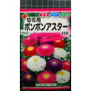 ポンポン アスター 切花用 種 種子 トーホク