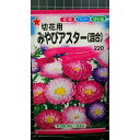 みやび アスター 切花用 混合 種 種子 トーホク