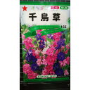 千鳥草 チドリソウ 種 種子 トーホク