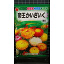 帝王 かいざいく 貝細工 種 種子 トーホク