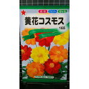 黄花 コスモス 秋桜 種 種子 トーホク