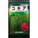 コキア ほうき草 ホウキグサ 種 種子 トーホク