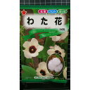 わた花 綿 ワタ 種 種子 トーホク
