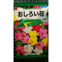 おしろい花 オシロイバナ 種 種子 トーホク