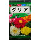 ダリア 種 種子 トーホク