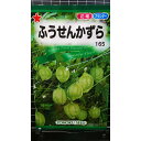 ふうせん かずら 風船かずら 種 種子 トーホク