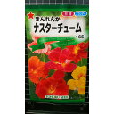 ナスターチューム きんれんか 種 種子 トーホク