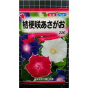 桔梗咲 あさがお 混合 朝顔 種 種子 トーホク